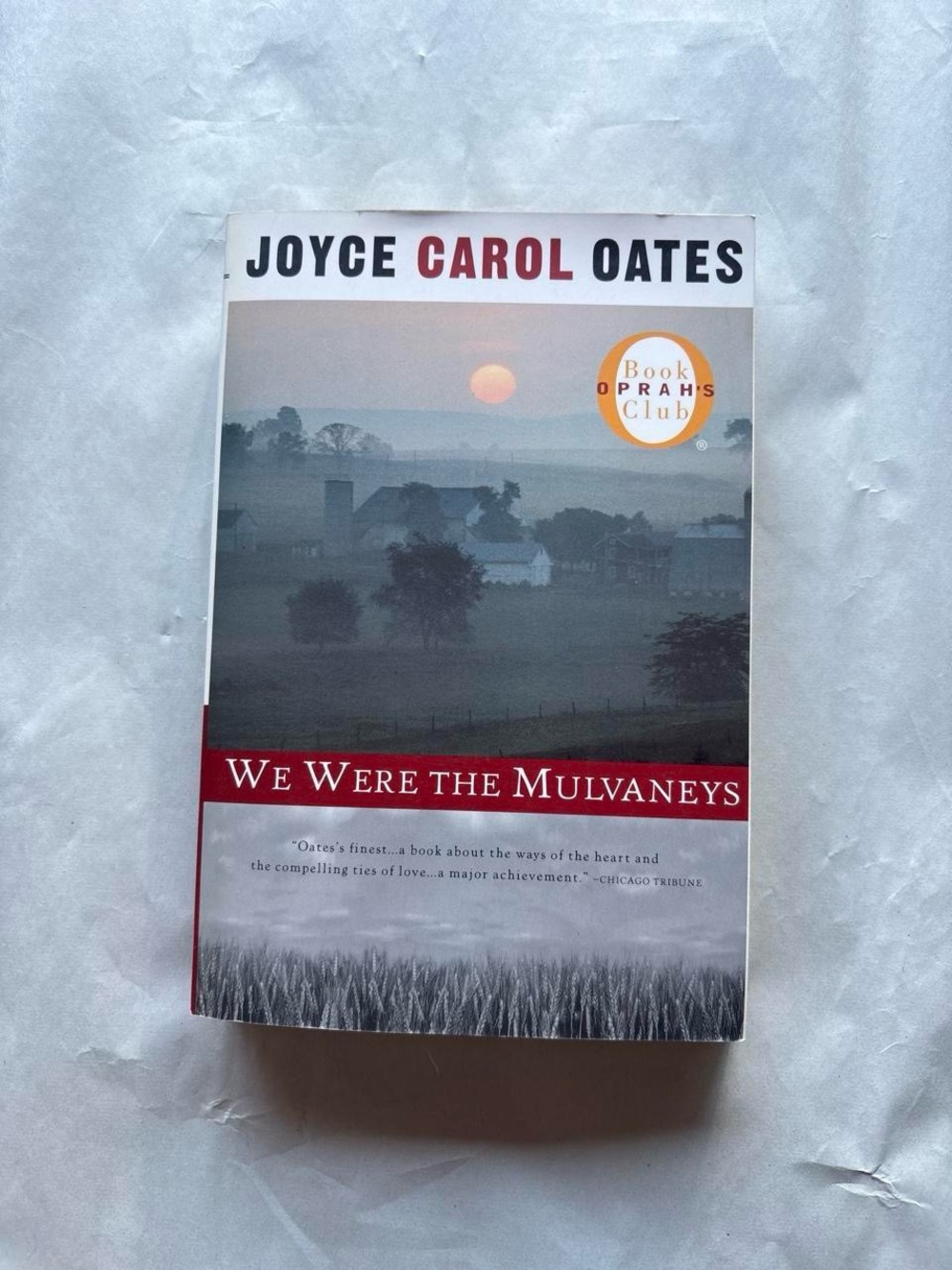 We Were The Mulvaneys by Joyce Carol Oates
